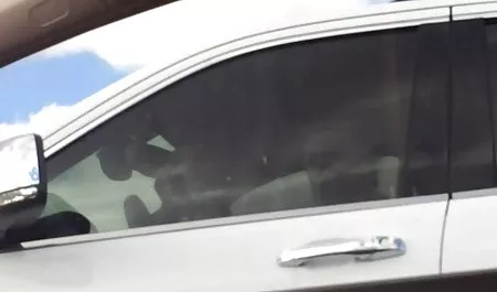 Embarazada esposa meets videos de sexso su marido