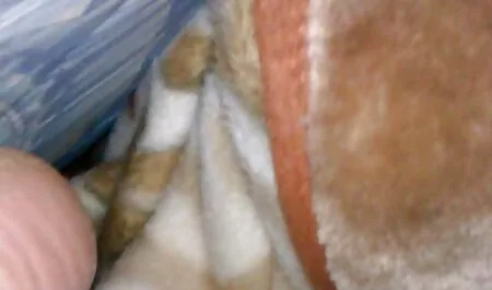 Los rusos están en el techo videos porbo
