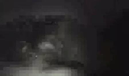 Chick begs mirar videos pornos a lamer su coño en el quinto mes