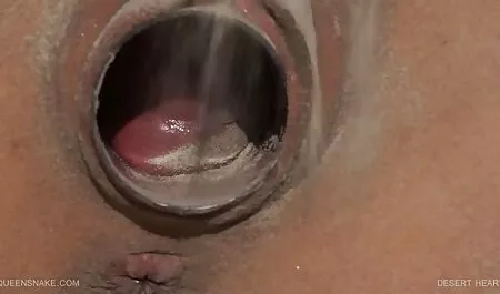 Gatito ama a culto culo peliculas pornograficas